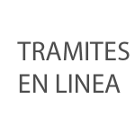 pagosenlinea