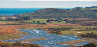 Municipio de Ancud reúne a la comisión de estudio para futuro santuario de la naturaleza en Humedal de Quilo