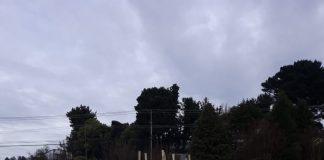 Municipio de Ancud realiza primer envío de acopio de vidrios a Fundación COANIQUEM