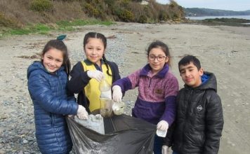 Con minga municipio y vecinos de Ancud realizan limpieza de playas en la comuna