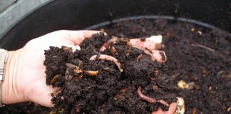 Municipio de Ancud invita a la comunidad a inscribirse en el Programa de Compostaje Comunal