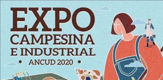Expo Campesina e industrial abre sus puertas a la comunidad y turistas en Ancud