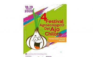 Festival Agroecológico del Ajo Chilote invita a la comunidad a la cuarta versión en Punta Chilen