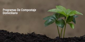 Municipio anuncia medidas para disminuir y reciclar desechos orgánicos en la ciudad