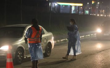 Controlan más de 1.500 vehículos en aduana sanitaria en Ancud