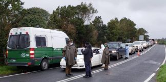 Se implementó la Barrera Sanitaria en el cruce de Quetalmahue y Puñihuil