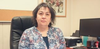 Alertan por estafas para obtener licencias de conducir