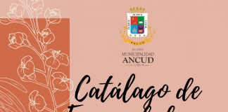 Dirección de turismo y fomento productivo en la Municipalidad Ancud difunde a emprendedores