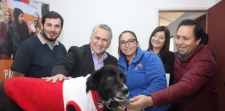 Clínica Veterinaria Municipal de Ancud cumple 2 años de funcionamiento