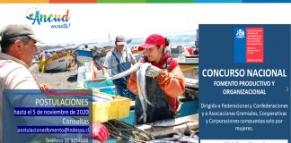 Invitan a participar en proyectos de desarrollo de pesca artesanal