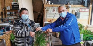 Municipio entrega hortalizas y plantas a programas de salud municipal