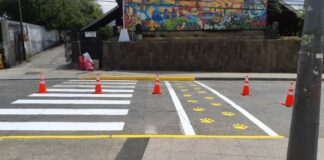 Municipio de Ancud realiza inédita demarcación de paso peatonal para mascotas