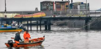 Dirección de Fomento productivo del municipio de Ancud llama a las mujeres pescadoras indígenas a postular a proyectos