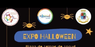 Ancud: Invitan a feria Expo Hallowen