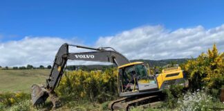 Municipalidad de Ancud junto a Conaf trabajar para evitar incendios