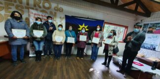 Certificación capacitación PDTI