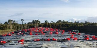 Se ratifica continuidad de asesoría en busca de soluciones por Puntra El Roble