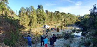 Municipio de Ancud se compromete con la reforestación