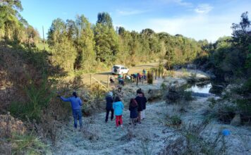 Municipio de Ancud se compromete con la reforestación