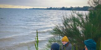 Municipio de Ancud aborda problemática en borde costero de Caulín