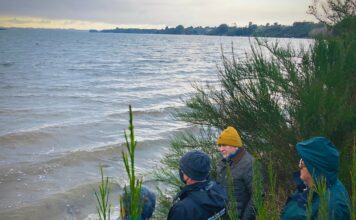 Municipio de Ancud aborda problemática en borde costero de Caulín