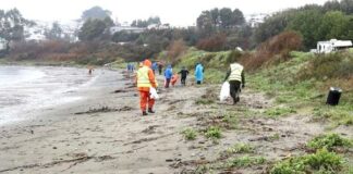 Ancud: retiran casi 800 kilos de basura