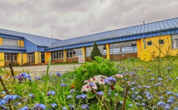 Escuela Sol del Pacífico de Pilluco tratará las aguas lluvias para paliar déficit hídrico