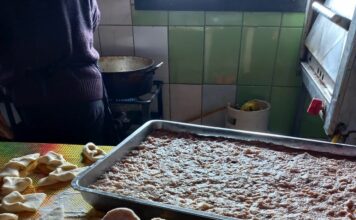 Ancud cumple 254 años pensando en más viviendas y menos basura