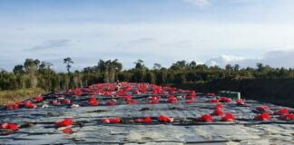 Ancud: se sostiene trabajo para cumplir con fallo de cierre de Puntra El Roble