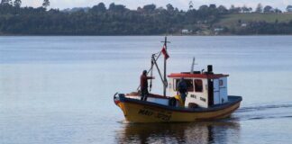 Postulación programa de pesca artesanal