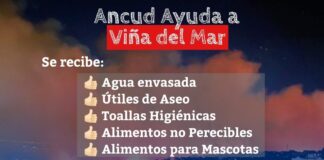 Ancud ayuda a Viña del Mar