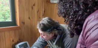 Veterinaria Municipal abre agenda para esterilizaciones gratuitas