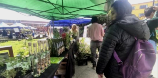 Inicia la «Semana de la agroecología» en Ancud