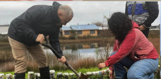 Ancud: invitan a festival “Pala en Mano”, para contribuir en la restauración del bosque nativo