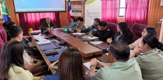 Consejo de seguridad en Ancud: más controles, recuperación de espacios y mayor prevención de delitos