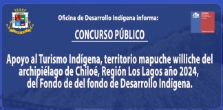 Oficina Desarrollo indígena informa de apertura concurso público de Conadi
