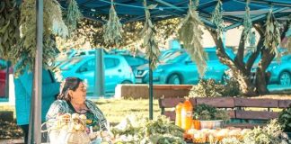 Expo Feria Campesina de Ancud pone término a su temporada de encuentros