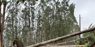 Vendaval generó estragos y dejó por horas incomunicado a Chiloé