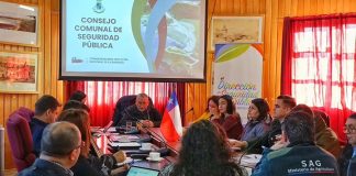 Ancud focaliza su atención en robos de vehículos y más vigilancia remota