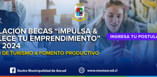 BASES DE CONVOCATORIA “BECAS IMPULSA Y FORTALECE TU EMPRENDIMIENTO”