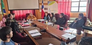 Focalizan operativos en robos y VIF en Ancud: extienden controles a los barrios