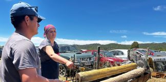 Ancud revive tradiciones con cuatro muestras costumbristas rurales