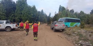 Decretan Alerta Roja para Ancud por incendio forestal en Taiquemó