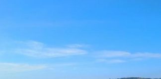 Llaman a evitar contacto con medusas en Ancud