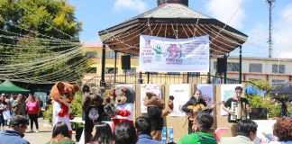 Exitoso primer festival Pudú Fest