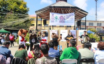 Exitoso primer festival Pudú Fest