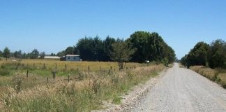 Conservación cruce ruta 5 el Quilar