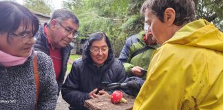 Adultos mayores visitan sendero Alihuen