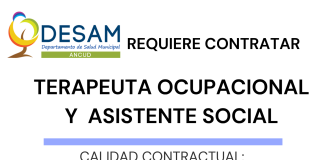 DESAM Ancud requiere contratar terapeuta ocupacional y asistente social