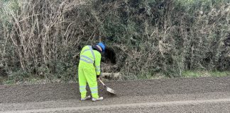 Avanzan los trabajos de mejoramiento vial en la Península de Lacuy